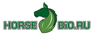 Horse Bio